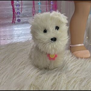 American Girl coconut pet dog